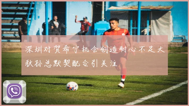 深圳对贺希宁机会创造耐心不足大秋孙总默契配合引关注
