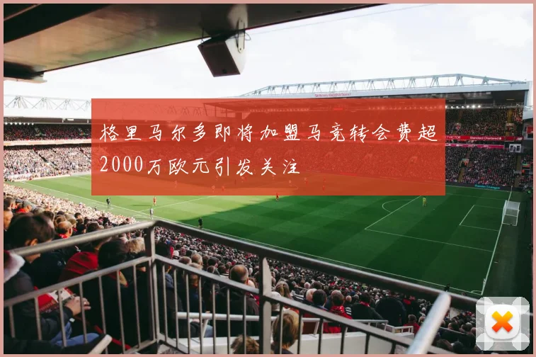 格里马尔多即将加盟马竞转会费超2000万欧元引发关注